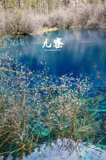 一曲《我的中国心》好听！游戏画面